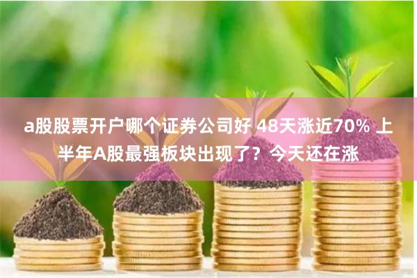 a股股票开户哪个证券公司好 48天涨近70% 上半年A股最强板块出现了？今天还在涨