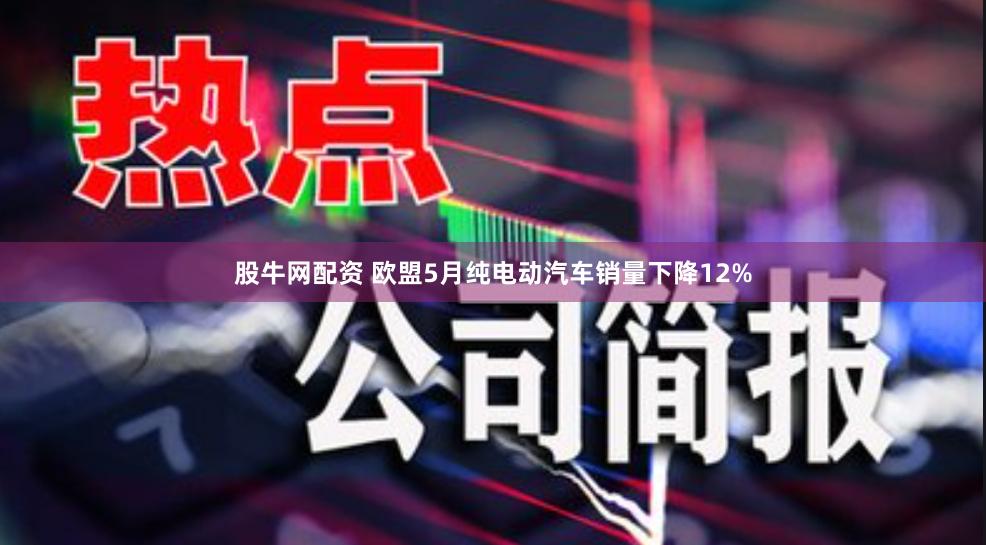 股牛网配资 欧盟5月纯电动汽车销量下降12%