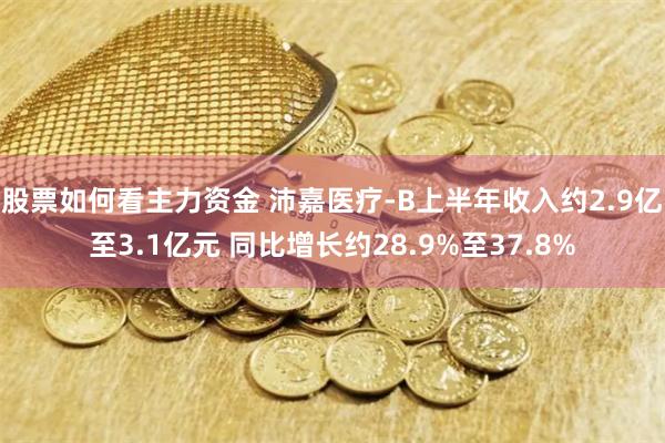 股票如何看主力资金 沛嘉医疗-B上半年收入约2.9亿至3.1亿元 同比增长约28.9%至37.8%
