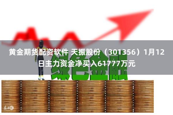 黄金期货配资软件 天振股份（301356）1月12日主力资金净买入61777万元