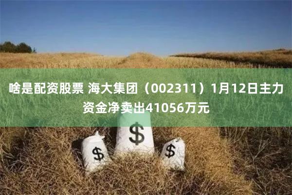 啥是配资股票 海大集团（002311）1月12日主力资金净卖出41056万元