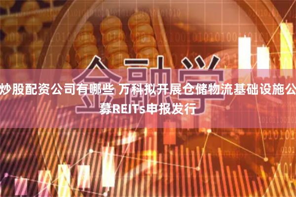 炒股配资公司有哪些 万科拟开展仓储物流基础设施公募REITs申报发行