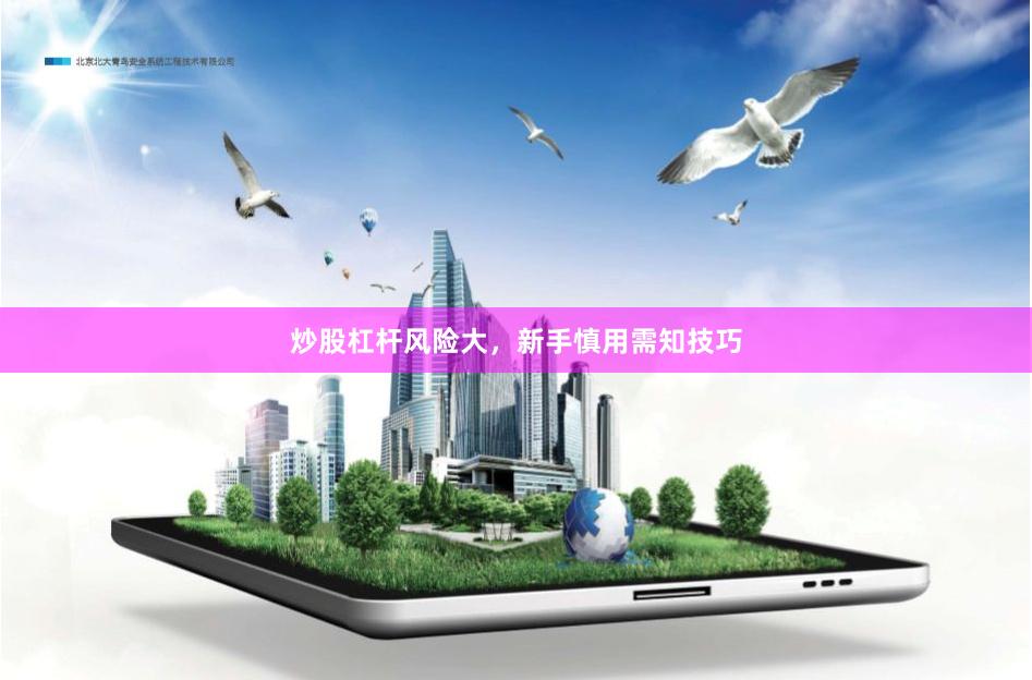 炒股杠杆风险大，新手慎用需知技巧