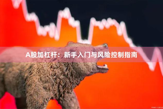 A股加杠杆：新手入门与风险控制指南