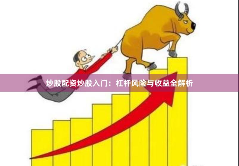 炒股配资炒股入门：杠杆风险与收益全解析